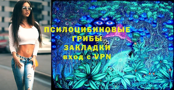 марки nbome Богородицк
